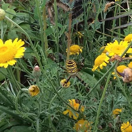 D'hotes Grange De La Bastide B&B 3*