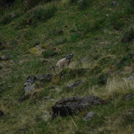 D'hotes Grange De La Bastide