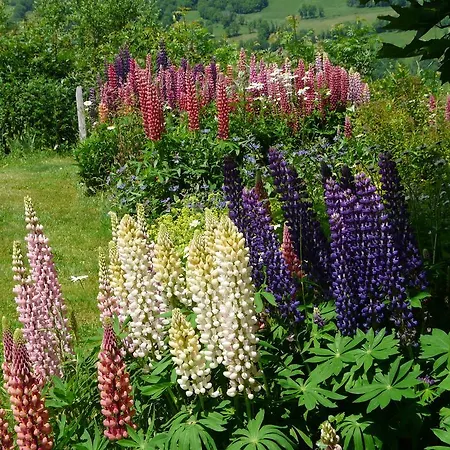 D'hotes Grange De La Bastide Laveissière