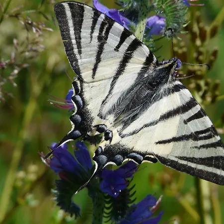 D'hotes Grange De La Bastide Laveissière